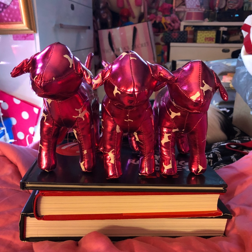 VS PINK MINI DOG
